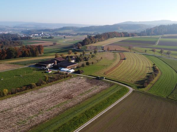 Luftaufnahme Strickhof